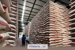 Bansos Beras 20 Kg dan Minyak Goreng 4 Liter Resmi Disalurkan Mulai 13 Maret 2026, Simak Daftar Wilayah Penerima Bantuan Sembako Ini