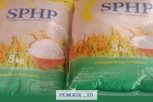 Bansos Beras Masih Disalurkan Sampai Maret 2026 Namun Tidak Merata ke Seluruh Warga, Simak Syaratnya