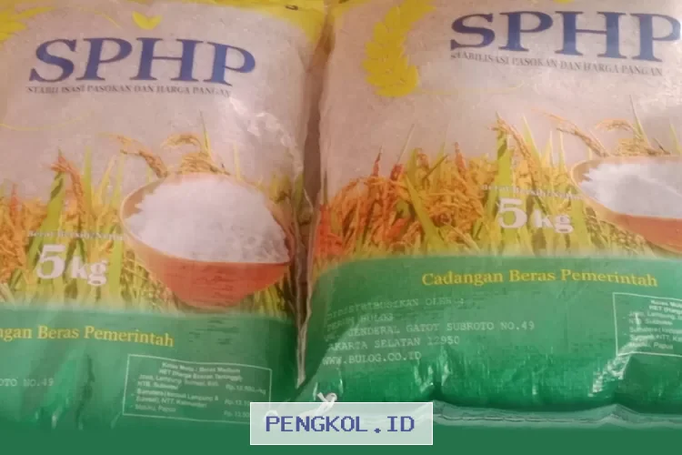 Bansos Beras Masih Disalurkan Sampai Maret 2026 Namun Tidak Merata ke Seluruh Warga, Simak Syaratnya