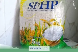 Penyaluran Bansos Susulan Dimulai, Tiga Provinsi Terima Cairan via Kantor Pos untuk KPM dengan Bantuan Ganda