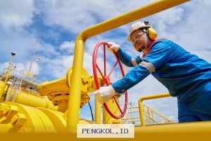 PGN Targetkan EBITDA Tembus USD971 Juta di Tahun 2025 Mendatang