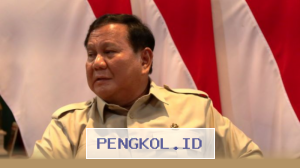 Prabowo Gandeng Swasta Bangun Pembangkit Listrik Tenaga Surya Skala Raksasa di Indonesia