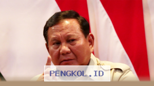 Presiden Terapkan Efisiensi Anggaran dan WFH untuk Tekan Belanja Negara