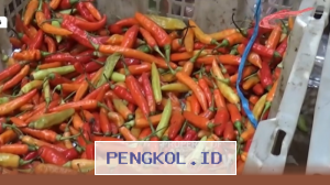 Harga Cabai Rawit di Pasar Bintoro Demak Tetap Tinggi Menjelang Akhir Pekan Ini
