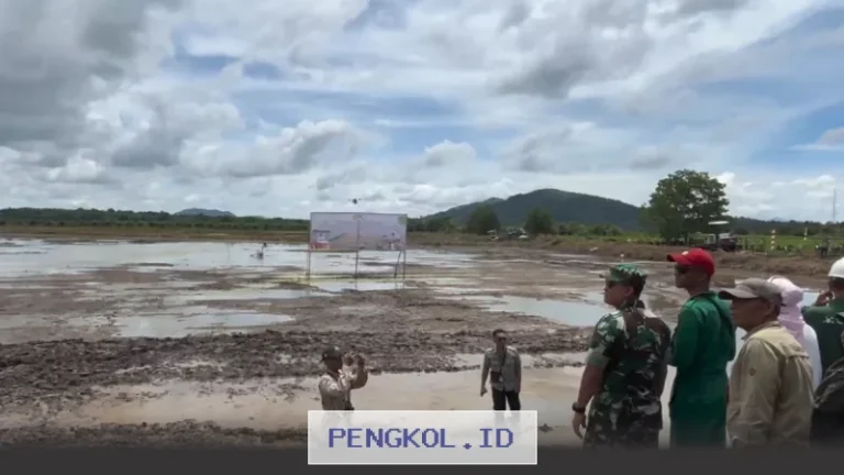 Kementan Dorong Gerakan Tanam Serempak di 17 Provinsi untuk Antisipasi Dampak El Nino