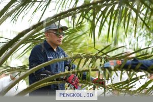 PTPN IV PalmCo Tingkatkan Sistem Deteksi Awal Karhutla dan Terapkan Strategi Agronomi untuk Antisipasi Musim Kemarau Ekstrem