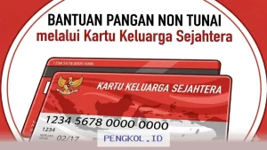 Bantuan Pangan Non Tunai Tahap Ini Sudah Cair di Tujuh Wilayah, Warga Terima Saldo Baru Rp600 Ribu via KKS BNI
