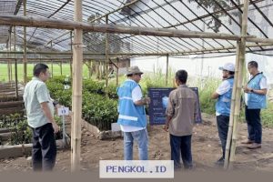 PLN EPI Terapkan Teknologi Digital untuk Pengembangan Bibit Mangrove di Cilacap