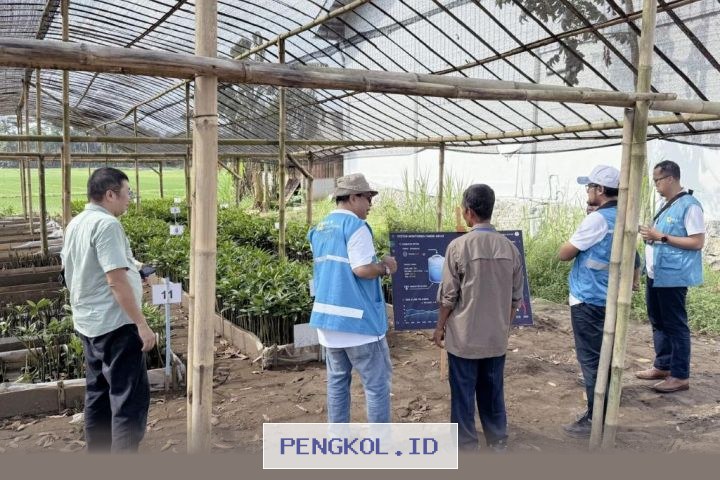 PLN EPI Terapkan Teknologi Digital untuk Pengembangan Bibit Mangrove di Cilacap