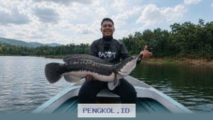 Peningkatan Minat Konsumen Dorong Pertumbuhan Signifikan Industri Peralatan Memancing Melalui Inovasi Digital
