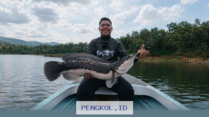 Peningkatan Minat Konsumen Dorong Pertumbuhan Signifikan Industri Peralatan Memancing Melalui Inovasi Digital
