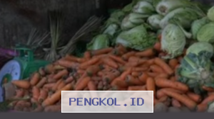 Kekeringan Ekstrem Picu Kenaikan Harga Wortel Mencapai Empat Belas Ribu Rupiah per Kilogram di Makassar