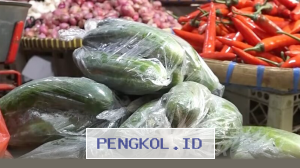 Kenaikan Drastis Harga Timun di Semarang Mengguncang Pasar Lokal Jelang Lebaran Idulfitri