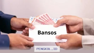 Pembaruan Informasi Saldo PKH dan BPNT Tahap Tiga melalui Livin by Mandiri per 20 Juli 2026