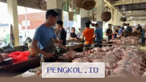 Penurunan Drastis Harga Ayam dan Telur di Banda Aceh Menyusul Libur Nasional MBG