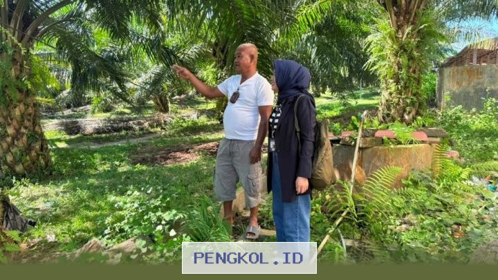 Peran Strategis Mantri BRI dalam Menggerakkan Ekonomi Rakyat dari Pedesaan Terpencil